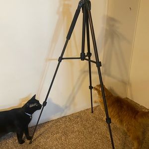 Camera tripod